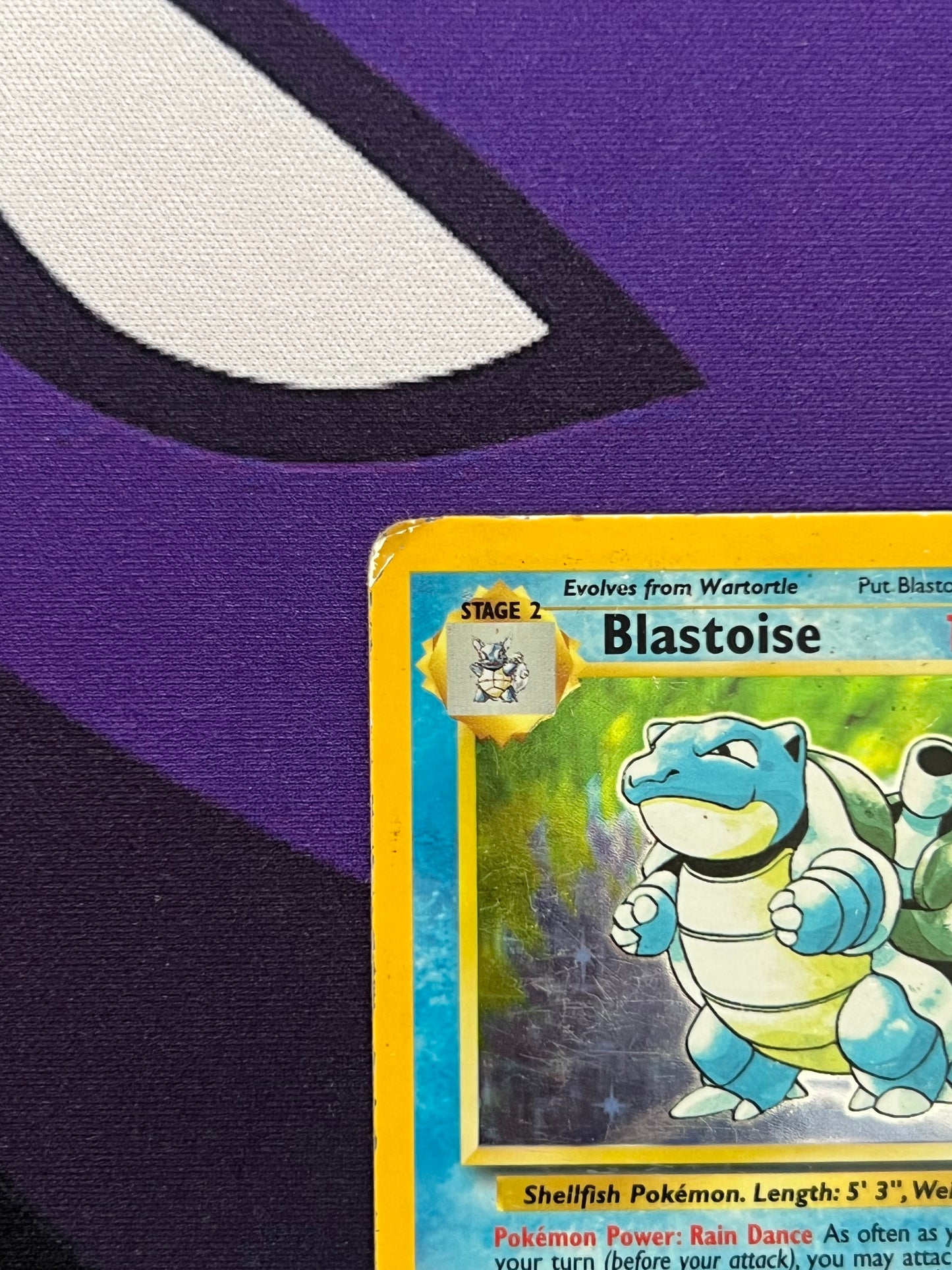 Blastoise #2
