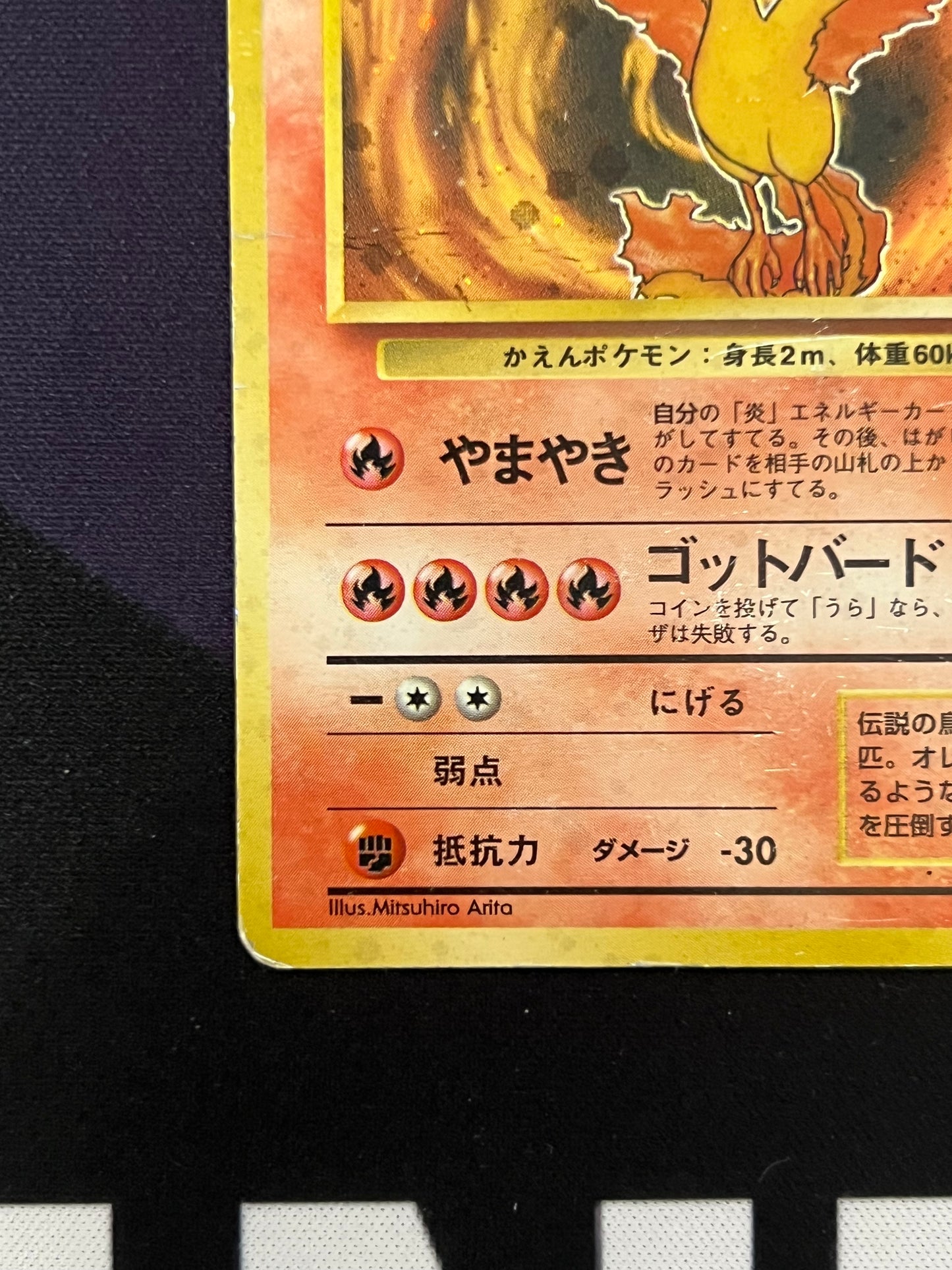 Moltres #146 Fossil